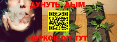 прущие крисы Заводоуковск
