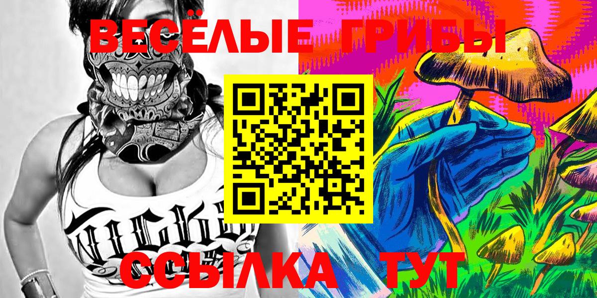 Минеральные Воды  Псилоцибиновые грибы Psilocybe  Вход с VPN  Галлюциногенные грибы Psilocybine cubensis 